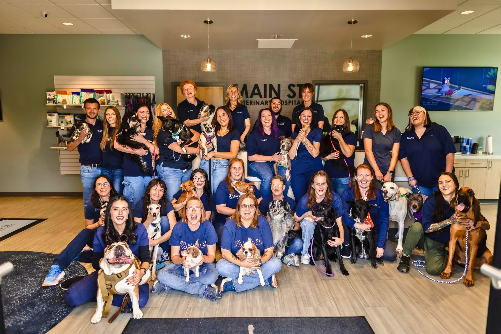Main Street Veterinary Hospital Team in Norman, Oklahoma