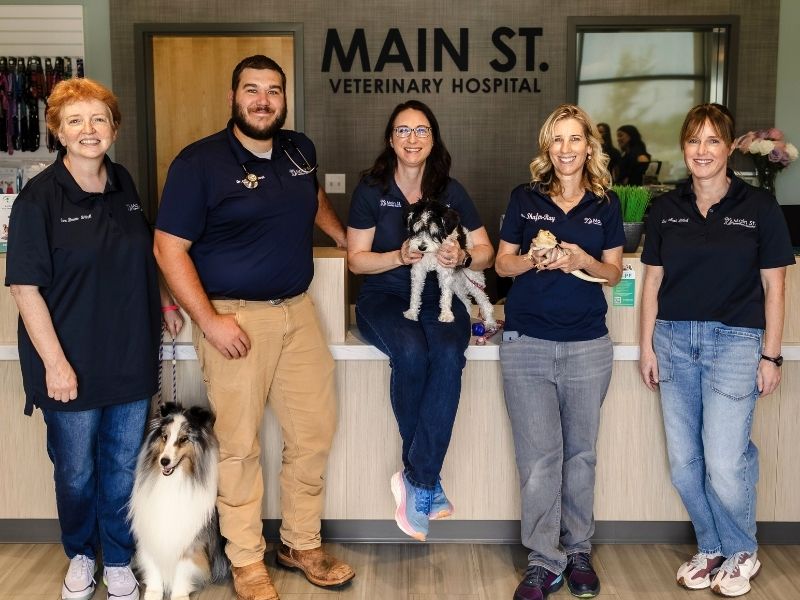 Veterinary Team at Main Street Veterinary Hospital in Norman, OK