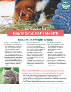 All About Hay