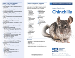 Chinchilla Care