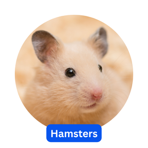 Hamsters