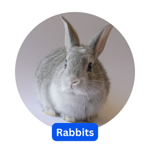 Rabbits