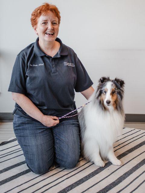 Dr. Sara Brown at Main Street Veterinary Hospital 