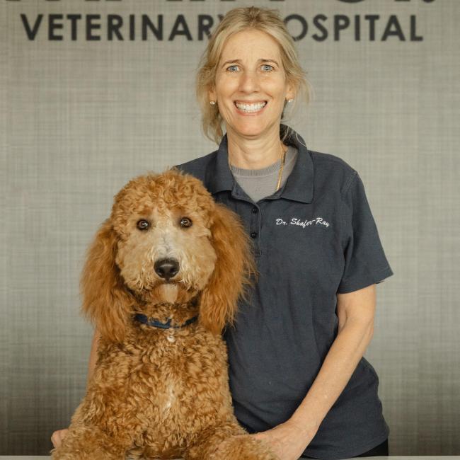 Dr. Shafer-Ray