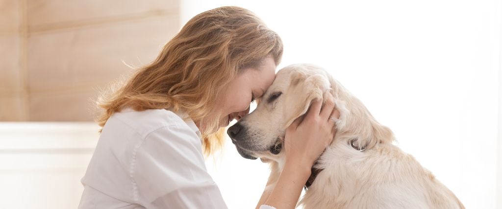 Owner embracing her large white dog